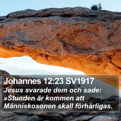 Johannes 12:23 SV1917 Bible Verse Image