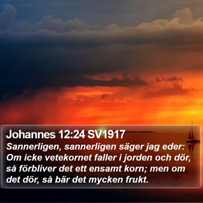 Johannes 12:24 SV1917 Bible Verse Image