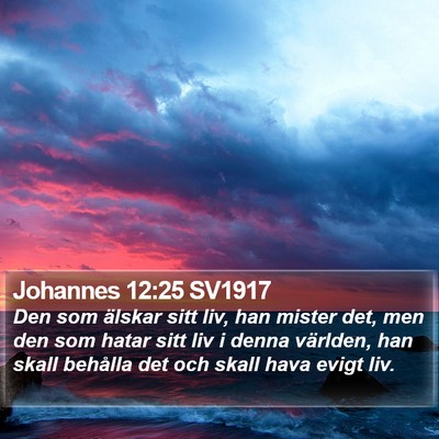 Johannes 12:25 SV1917 Bible Verse Image