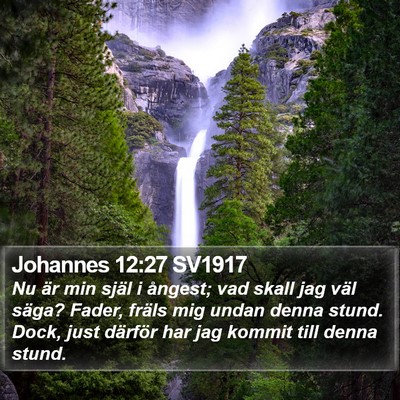 Johannes 12:27 SV1917 Bible Verse Image