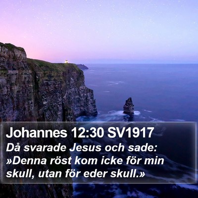 Johannes 12:30 SV1917 Bible Verse Image