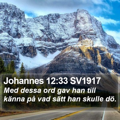 Johannes 12:33 SV1917 Bible Verse Image