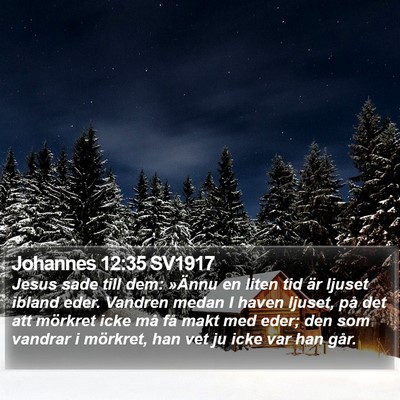 Johannes 12:35 SV1917 Bible Verse Image