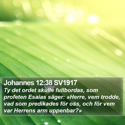 Johannes 12:38 SV1917 Bible Verse Image