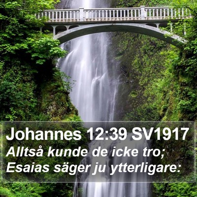 Johannes 12:39 SV1917 Bible Verse Image