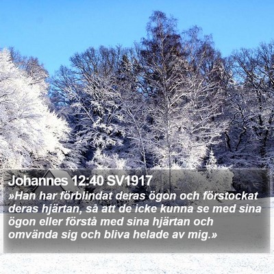 Johannes 12:40 SV1917 Bible Verse Image