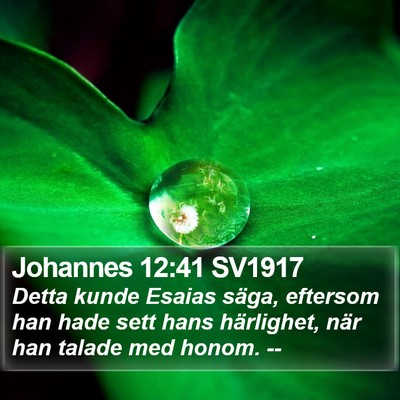 Johannes 12:41 SV1917 Bible Verse Image