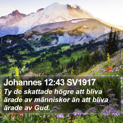 Johannes 12:43 SV1917 Bible Verse Image