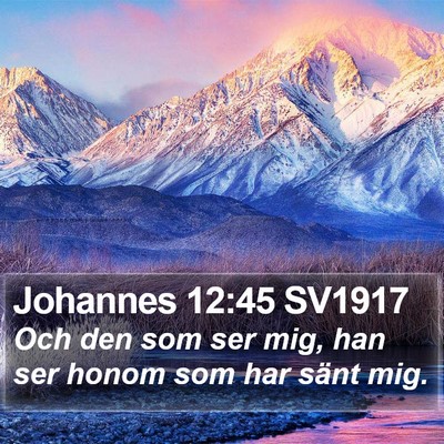 Johannes 12:45 SV1917 Bible Verse Image