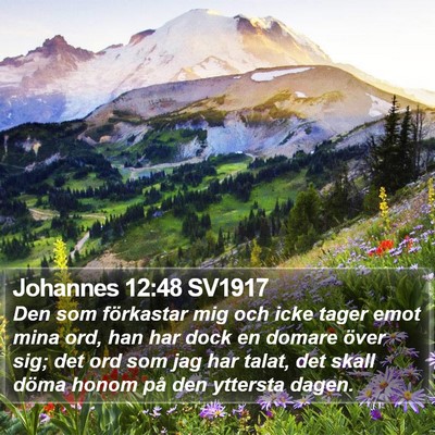 Johannes 12:48 SV1917 Bible Verse Image