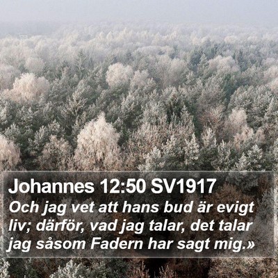 Johannes 12:50 SV1917 Bible Verse Image