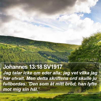 Johannes 13:18 SV1917 Bible Verse Image