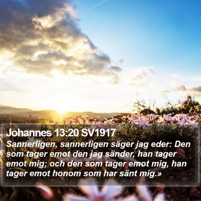 Johannes 13:20 SV1917 Bible Verse Image