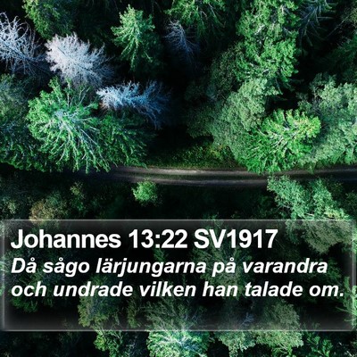 Johannes 13:22 SV1917 Bible Verse Image