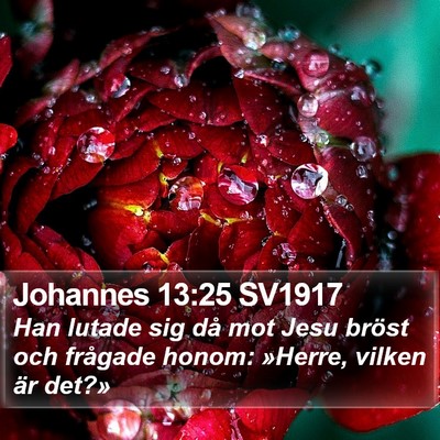 Johannes 13:25 SV1917 Bible Verse Image