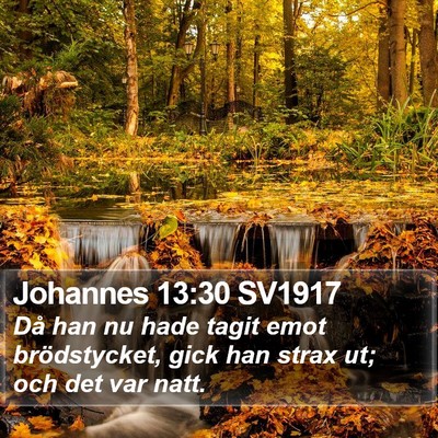Johannes 13:30 SV1917 Bible Verse Image
