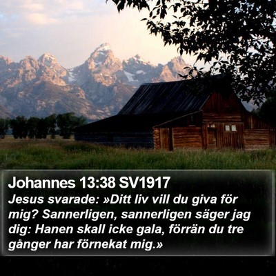 Johannes 13:38 SV1917 Bible Verse Image