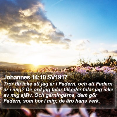 Johannes 14:10 SV1917 Bible Verse Image