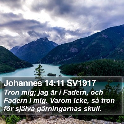 Johannes 14:11 SV1917 Bible Verse Image