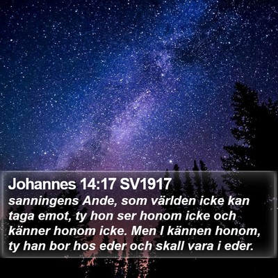 Johannes 14:17 SV1917 Bible Verse Image