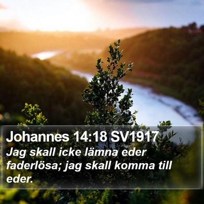 Johannes 14:18 SV1917 Bible Verse Image