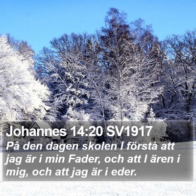 Johannes 14:20 SV1917 Bible Verse Image