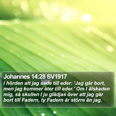 Johannes 14:28 SV1917 Bible Verse Image
