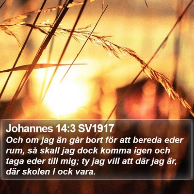Johannes 14:3 SV1917 Bible Verse Image