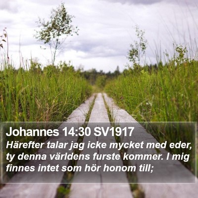 Johannes 14:30 SV1917 Bible Verse Image