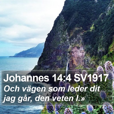 Johannes 14:4 SV1917 Bible Verse Image