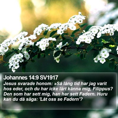 Johannes 14:9 SV1917 Bible Verse Image