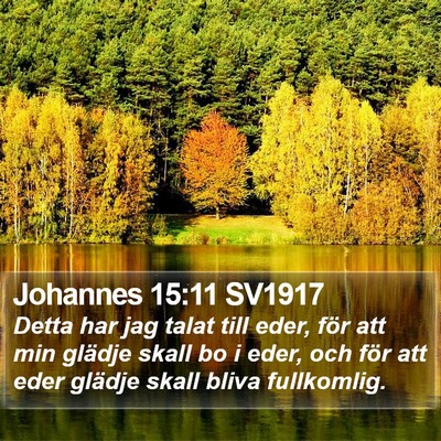 Johannes 15:11 SV1917 Bible Verse Image