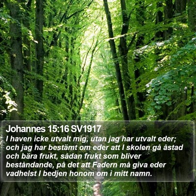 Johannes 15:16 SV1917 Bible Verse Image