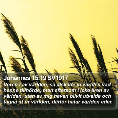 Johannes 15:19 SV1917 Bible Verse Image