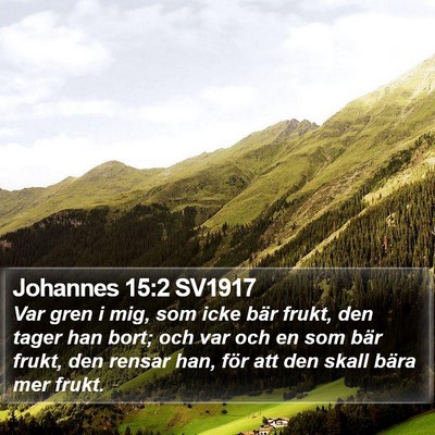 Johannes 15:2 SV1917 Bible Verse Image