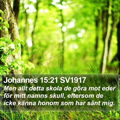 Johannes 15:21 SV1917 Bible Verse Image