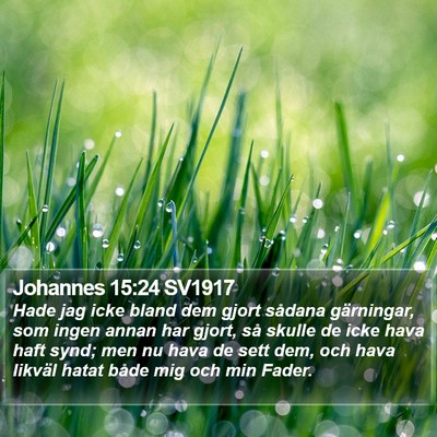 Johannes 15:24 SV1917 Bible Verse Image