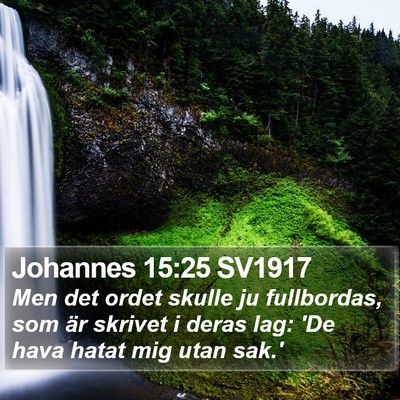 Johannes 15:25 SV1917 Bible Verse Image