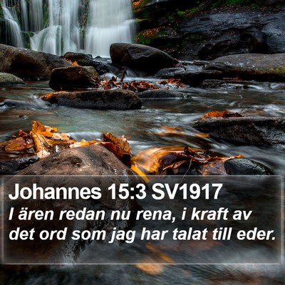 Johannes 15:3 SV1917 Bible Verse Image