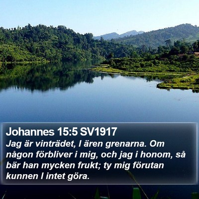 Johannes 15:5 SV1917 Bible Verse Image