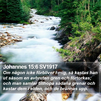 Johannes 15:6 SV1917 Bible Verse Image