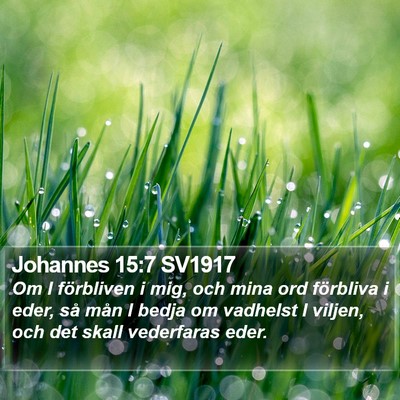 Johannes 15:7 SV1917 Bible Verse Image