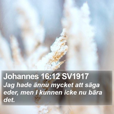 Johannes 16:12 SV1917 Bible Verse Image