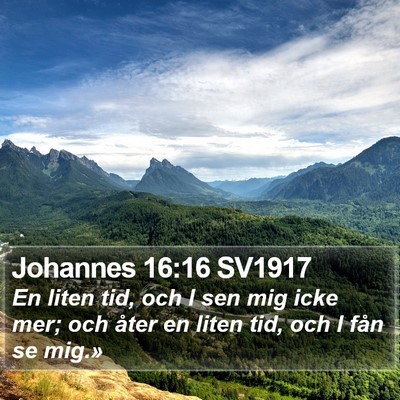 Johannes 16:16 SV1917 Bible Verse Image