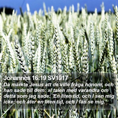 Johannes 16:19 SV1917 Bible Verse Image