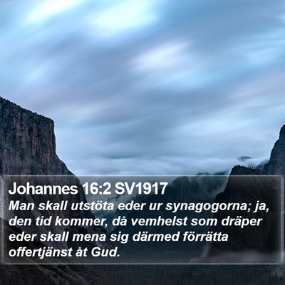 Johannes 16:2 SV1917 Bible Verse Image