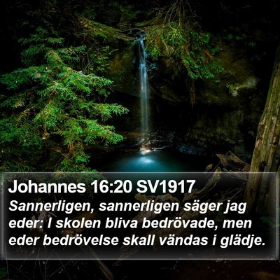 Johannes 16:20 SV1917 Bible Verse Image