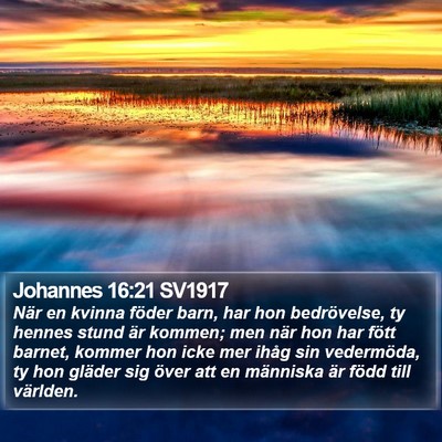 Johannes 16:21 SV1917 Bible Verse Image