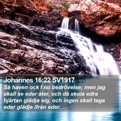 Johannes 16:22 SV1917 Bible Verse Image