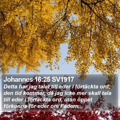 Johannes 16:25 SV1917 Bible Verse Image